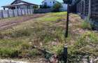 Teren de vanzare in Cumpana 500 mp Strada egretei nr 18 Toate utilitatile la poarta Pret 55000 euro 0757624849 nr proprietar - 5