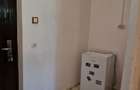Inchiriere apartament 1 camera Nae Leonard - 2