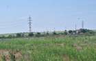 OCAZIE! EFORIE NORD, TEREN DE 1.666 MP,  PRET 125 000 EURO - 6