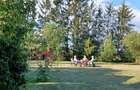 De vanzare casa de weekend - 8
