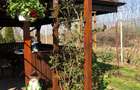 Vila spa?ioasa, complet mobilata,utilata, Branistari Giurgiu - 6