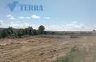 Teren intravilan 7.500 mp | DN73 | 4 km de Dacia Mioveni - 3