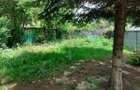 Vila in Crevedia, curte de 600mp, in zona linistita, cu renovari - 13