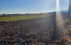 Teren intravilan cu 2 deschideri 4700 m2, Barabant-Orizont - 3