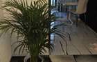 Vand apartament 2 camere - 2