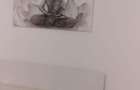 Se ofera spre inchiriere apartament de 2 camere zona Apusului - 2