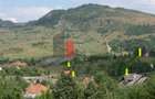 Teren intravilan 3214 mp in Rucar cu deschidere 56 m in DN73 - 12