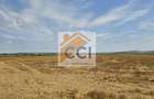 Teren intravilan 50.000 mp, Bacau, ?oseaua Hol - 8