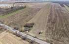 Teren intravilan de inchiriat 44700 mp langa centura Bacaului - 2