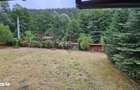 Casuta de vacanta de vanzare comuna Alexandru cel Bun, Neamt - 8