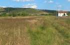 Teren Simian 26000 negociabil - 5