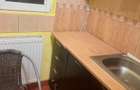 Proprietar inchiriez garsoniera Calea Lipovei Piata Noua - 3