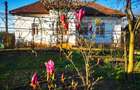Casa la ?ara de vanzare, mobilata, 2000 mp teren, Covei - Dolj - 9