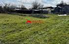 Teren intravilan Baicoi | 1.354 mp | Construibil | POT 40% CUT 1.6 | - 8
