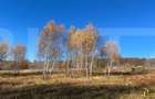 Teren construibil de vanzare, zona casele Micesti
