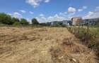 Teren intravilan de vanzare sat. Visan, Com. Barnova, Iasi | 1.600 mp | Investitie sau construire locuinta - 2