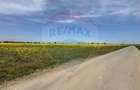 Teren 545,000mp Dragomiresti-Vale