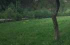 Vand Teren intravilan in Comuna Buce? ( Sat . Stanija ),Sup.1727 mp - 1