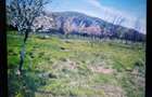 Vanzare teren intravilan - 8