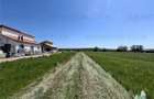 For Sale Case Individuale Snagov-GhermanestiIn apropierea PaduriiLotur - 1