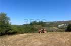 RECO Teren extravilan Holod 27400 mp - 8