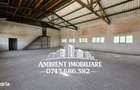 HALA DEPOZITARE sau ATELIER, teren 310 mp, VASLUI - zona Industriala; - 4