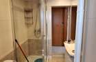 Apartament cu 2 camere de inchiriat in zona Kogalniceanu - 5