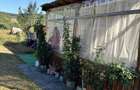 Vand teren in sat Nima - 2