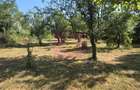 Teren intravilan de vanzare 3375 mp in Brebu - 2