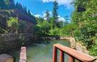 Proprietate de vanzare Sat Cheia - Prahova - 5
