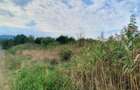 Teren intravilan 6000 m2 in zona industriala DN1A Sacele - 1
