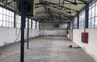 Hale + platforma betonata mp Giurgiului ( Zetari ) - 5