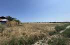 Teren intravilan de vanzare, 1350 mp, utilita?i - 3