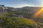 Teren Intravilan 700mp valea jelnei - 7