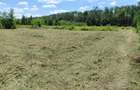 inchiriere 1300mp teren Baneasa Teisani - 8
