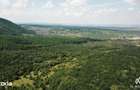 Livada de Nuci, 11 Hectare comasate, Cisnadie, Jud. Sibiu - 6