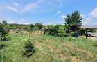 Teren 3100 mp cabana potential investitional Sura Mica Sibiu - 5