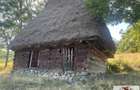 Casa Muntii Apuseni cu 116.445 mp teren - 11