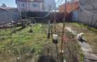 Salut teren de vanzare cu o saca antica pe el pe strada popova 11 - 5