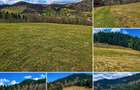 Teren intravilan 6.260 mp Vidra Alba langa Arie? | utilita?i | se poate impar?i - 1