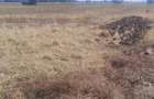 1250 mp teren intravilan arabil Magurele Ilfov, 9 euro mp