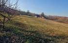 Proprietate 7400 mp, Mazanaesti(Suceava),casa renovata partial - 1