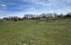 Teren intravilan 1.17ha cu panorama superba si PUZ aprobat Baia Sp