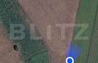 Teren extravilan, 3900 mp, zona Cumparatura - 2