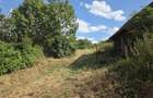 Proprietar | Teren intravilan 3.211 mp Vechea Chinteni | Asfalt, Utilita?i, Internet Fibra, Panorama - 6