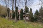 Proprietate de vacanta Valea Oltului - BREZOI - 4