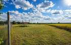 Antony Estate I Vanzare, Country House, Tileagd, Bihor - 9