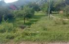 Teren Avram Iancu Jud Alba - 4