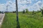 Vand 8000 mp teren in Bradu, drumul Cetului, la asfalt - 3