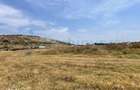 Teren intravilan 500mp, Betfia, Bihor,Gaminvest,V3806 - 2